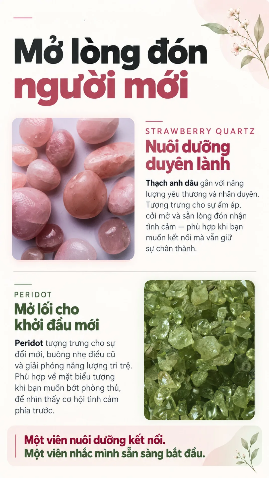 Ảnh tổng hợp nêu 6 nhu cầu tình cảm nào?