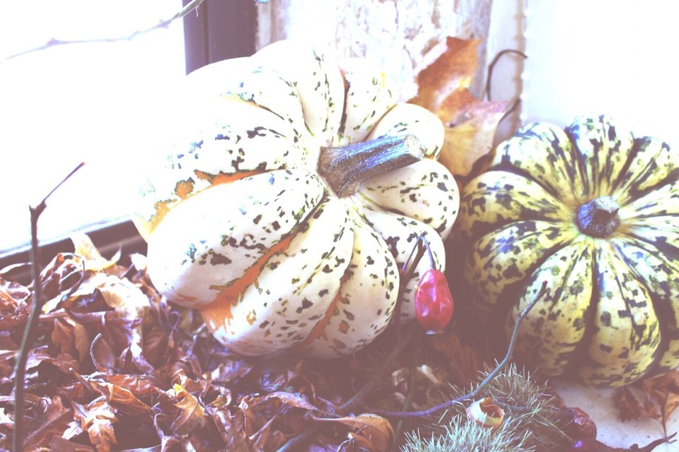 Halloween là ngày mấy? Nguồn gốc, ý nghĩa và 7 bước đón lễ
