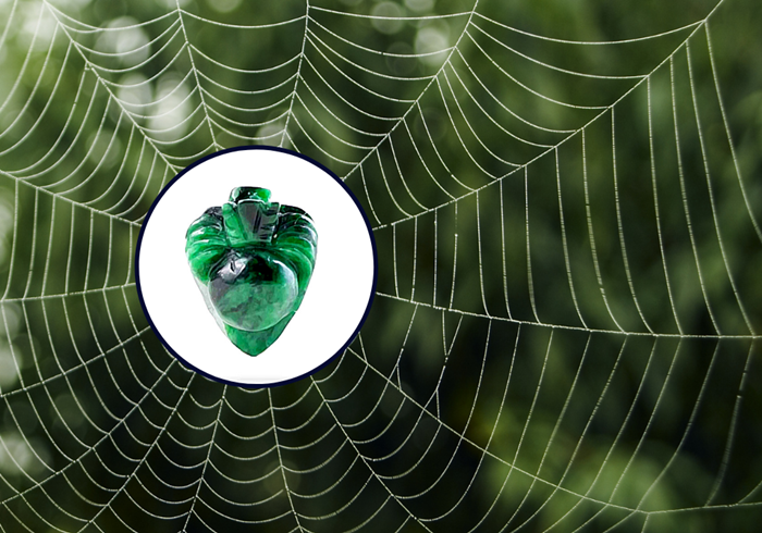 nhện phong thủy mang đến sự kết nối bền chặt trong các mối quan hệ