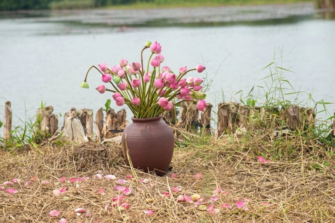 Bông hồng cài áo — nhắc mỗi người con trân trọng đấng sinh thành.