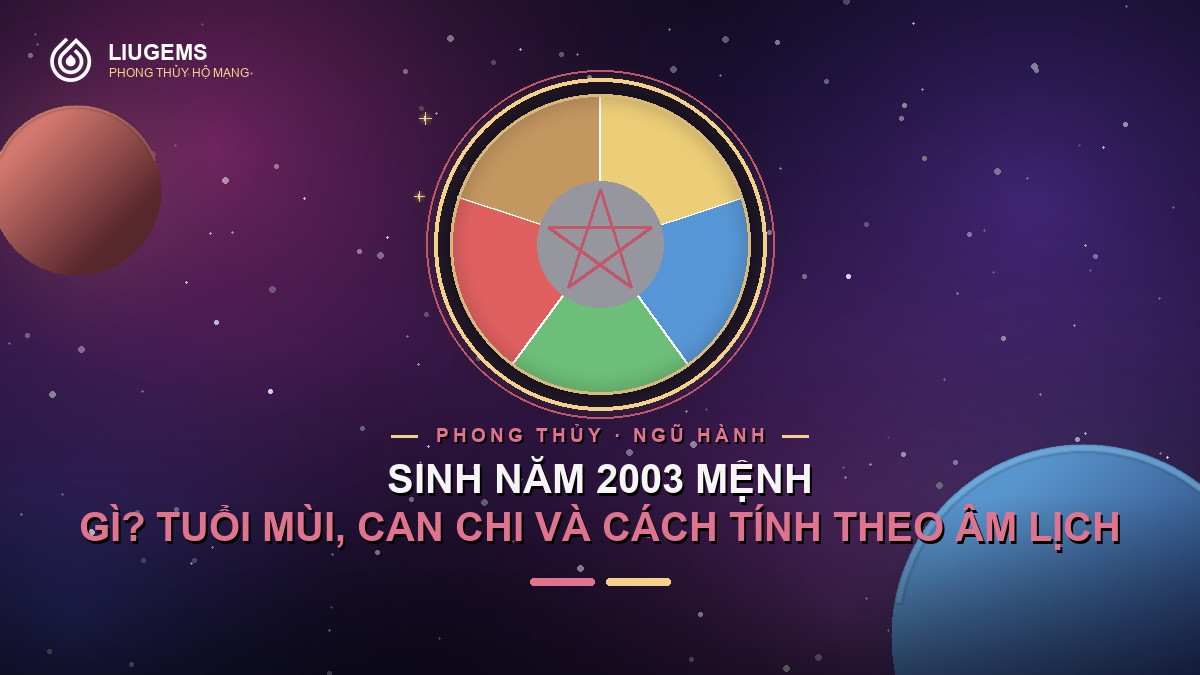 sinh-nam-2003-menh-gi-quy-mui-moc-mau-hop